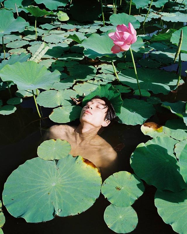 Yanni Larsen's profile