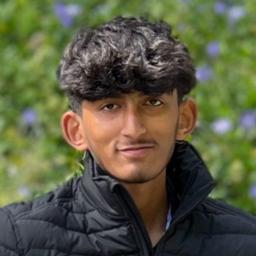 Krithin Kamineni