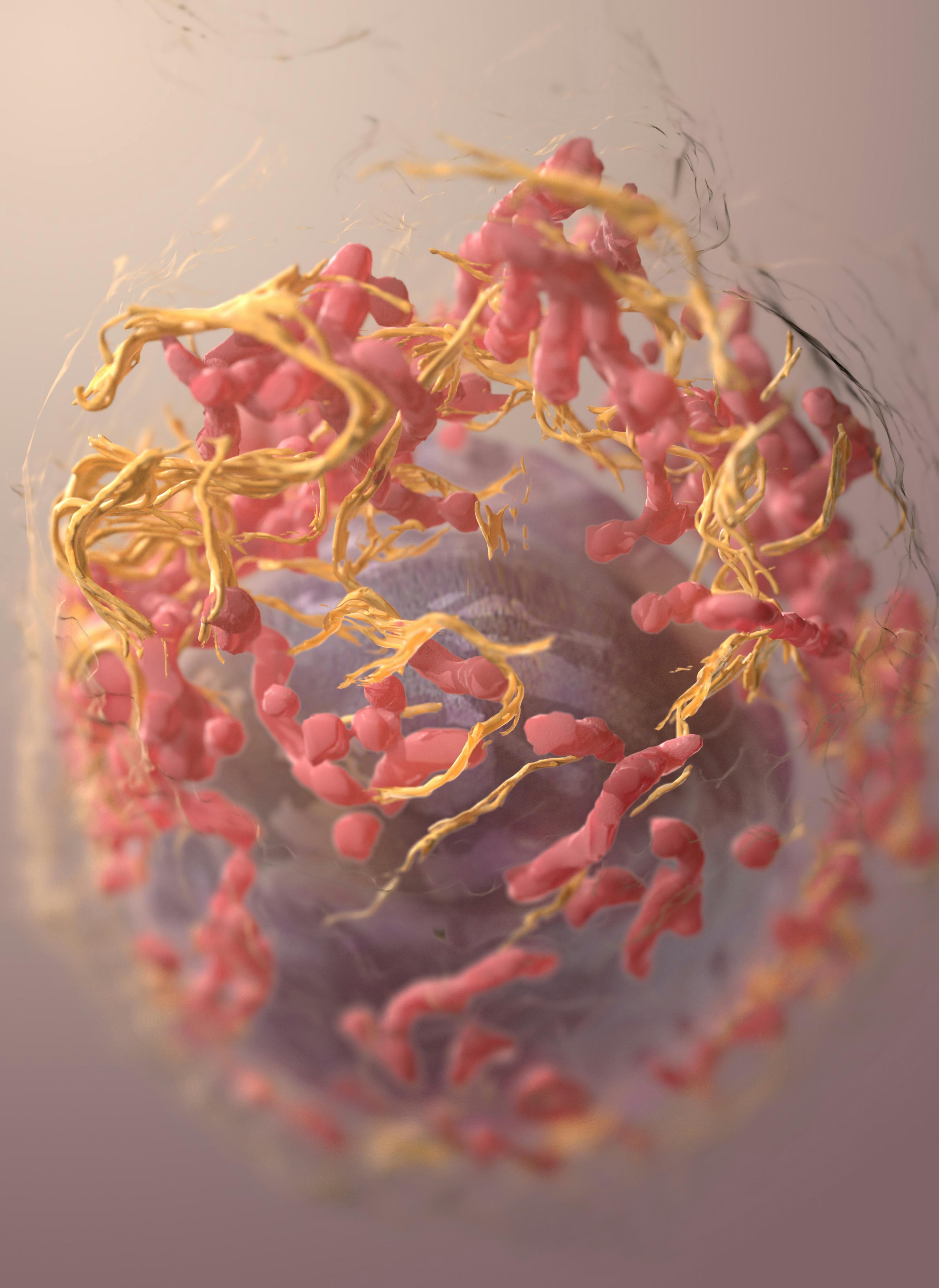 Portfolio item's cover image