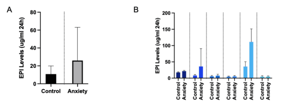 Research Paper On The Link Between Catecholamines and Anxiety Diagnosis
