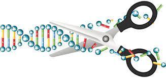 What is the current state of epi-drugs targeting DNA methylation used against leukemias, and what is their validity in terms of efficacy and safety?
