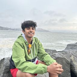 Krithin Visvesh