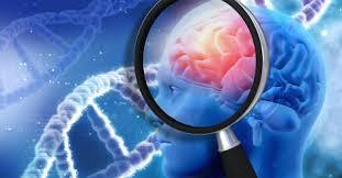 How do cardiovascular risk factors affect the chances of acquiring Alzheimer’s Disease?