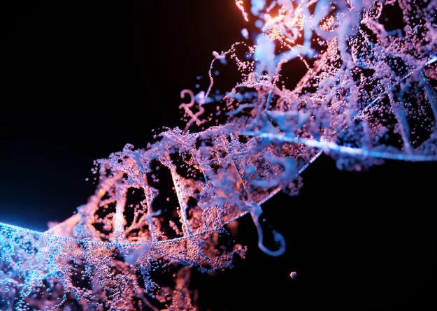 Biology-cover-picture
