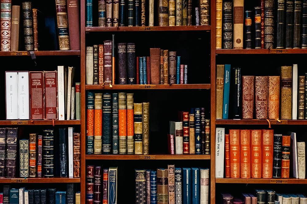 Literature-cover-picture