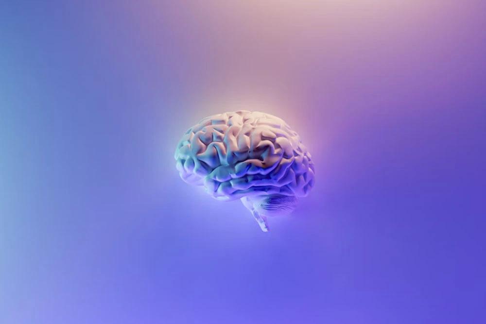 Neuroscience-cover-picture