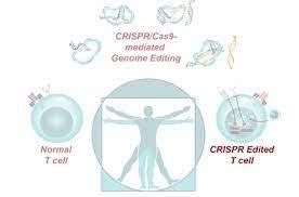 Medical Applications of CRISPR/Cas-9 Technologies