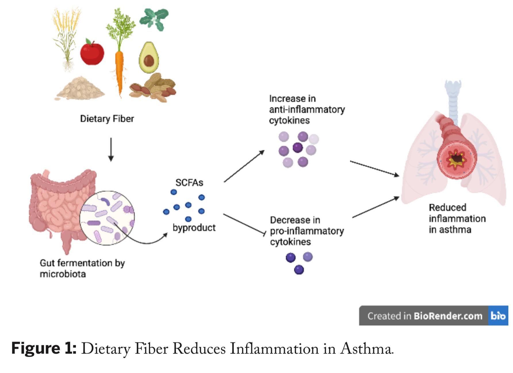 Review Paper: The Effects of Dietary Fiber on Asthma through Cytokine Production
