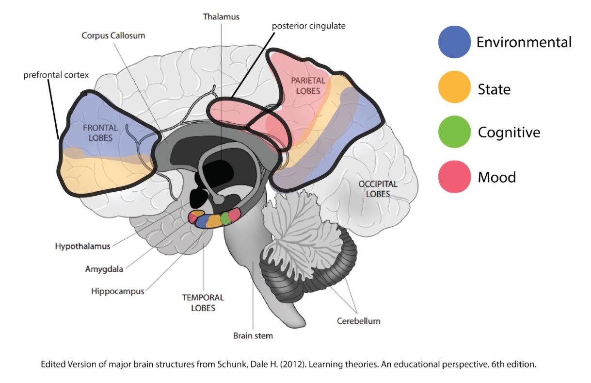 Brain regions activated in different types of Context Dependent Memory: a Review