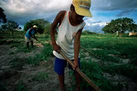What is the relationship between poverty and educational attainment/access among coffee farm workers in Latin America?