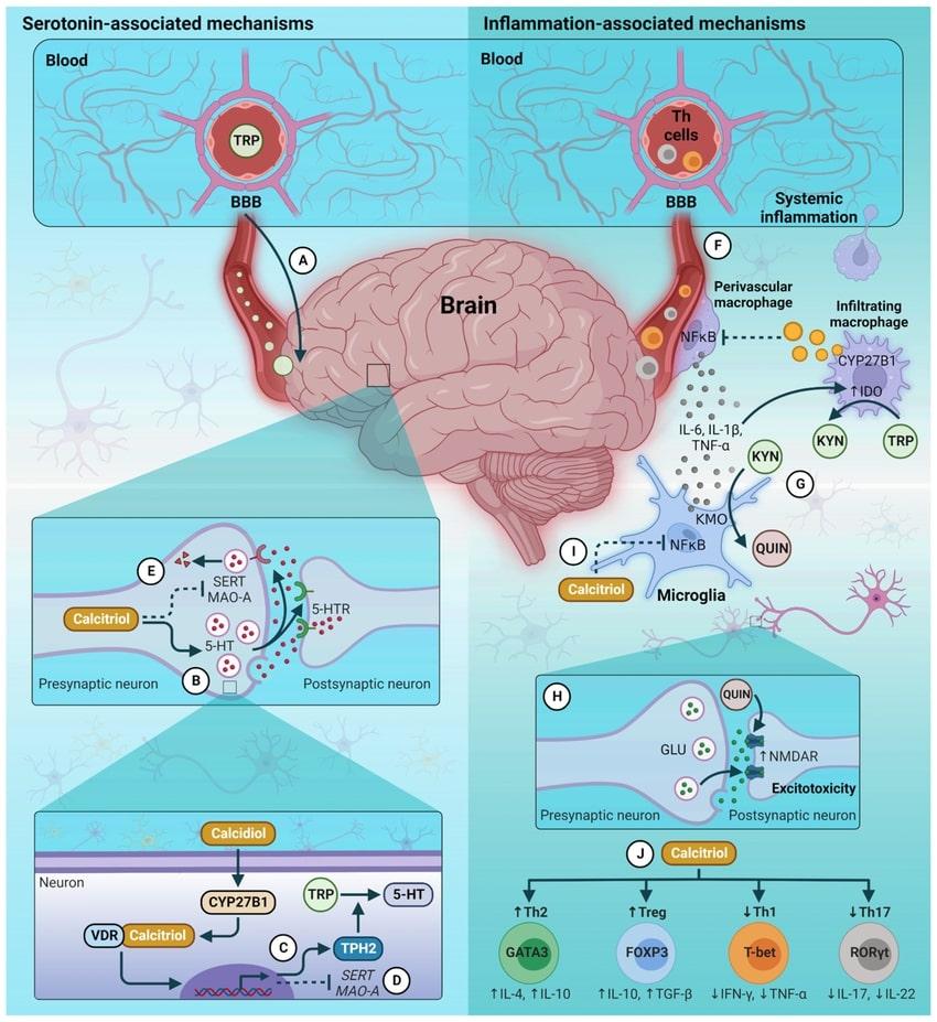 Portfolio item's cover image