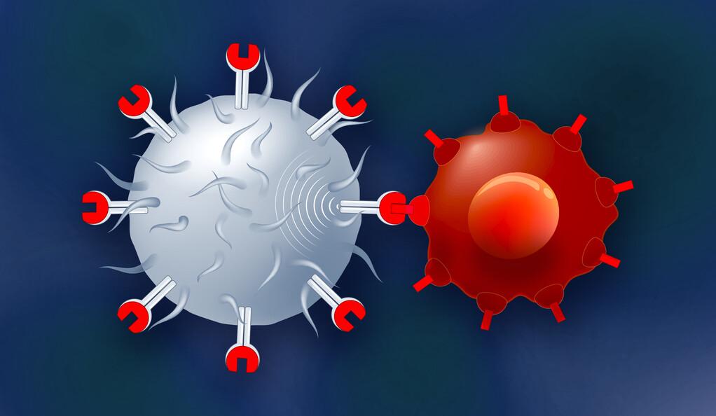 Effect of Hypoxia on Resistance to Immunotherapy