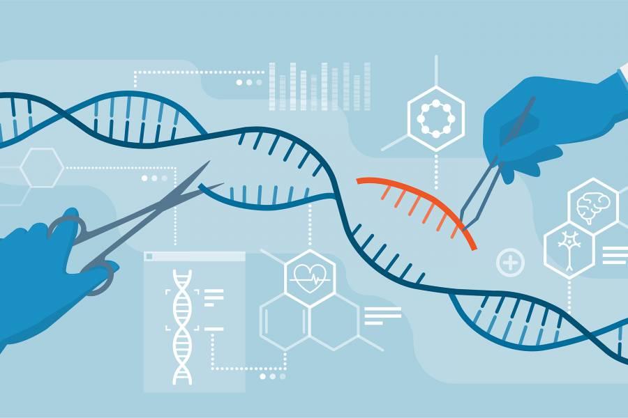 Uses of CRISPR/Cas9 gene editing in chimeric antigen receptor T cell therapy to treat B-cell acute lymphoblastic leukemia