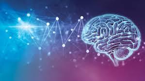 Portfolio item's cover image