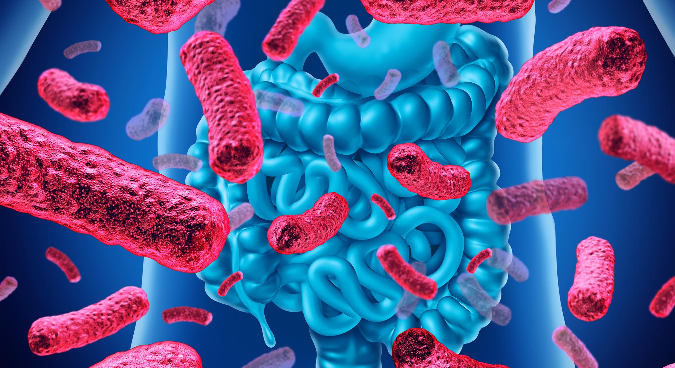 Probiotic Possibilities In Crohn’s Disease: A Research Review Article