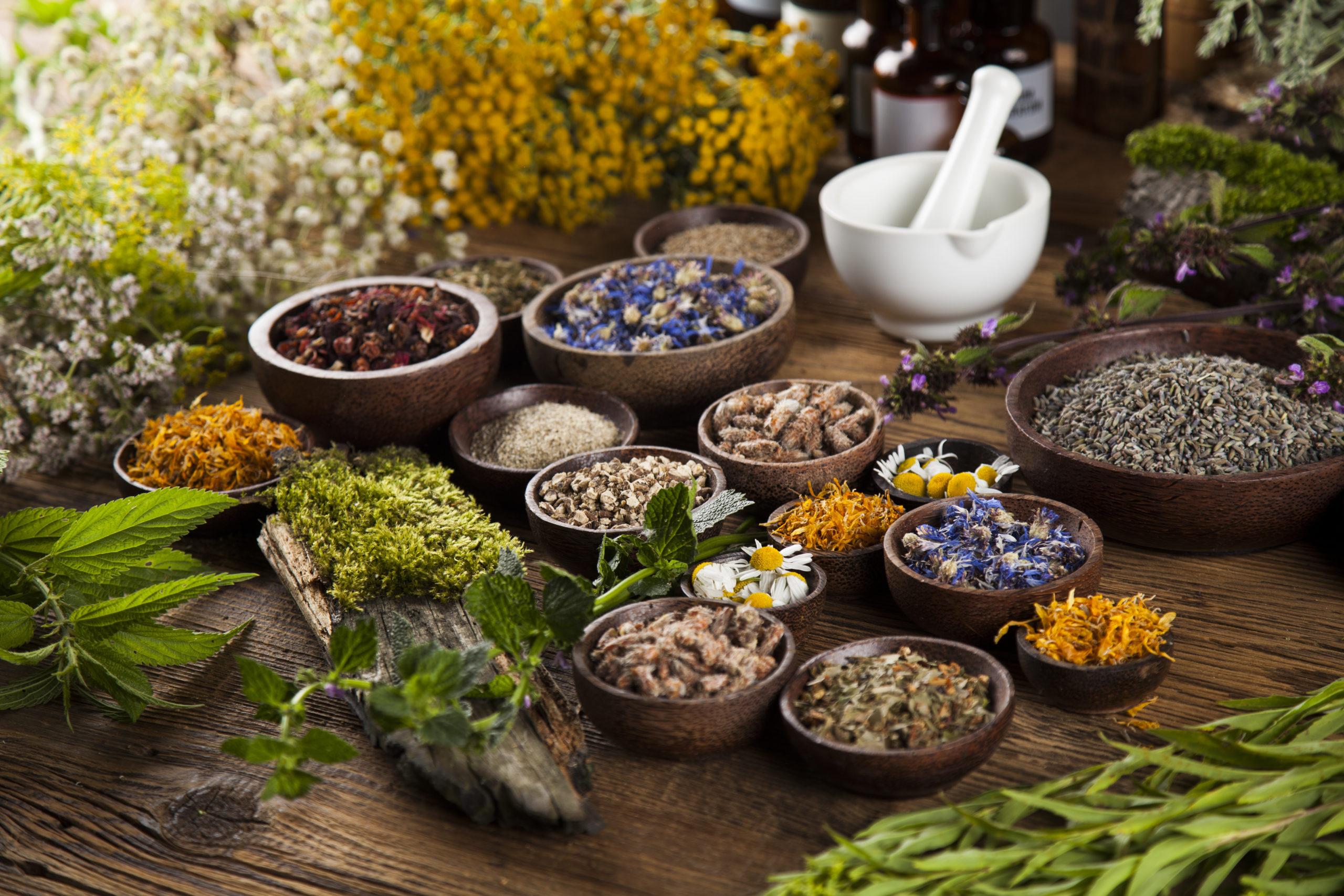 African Herbal Remedies: The Healing Abilities of Nature's Gift