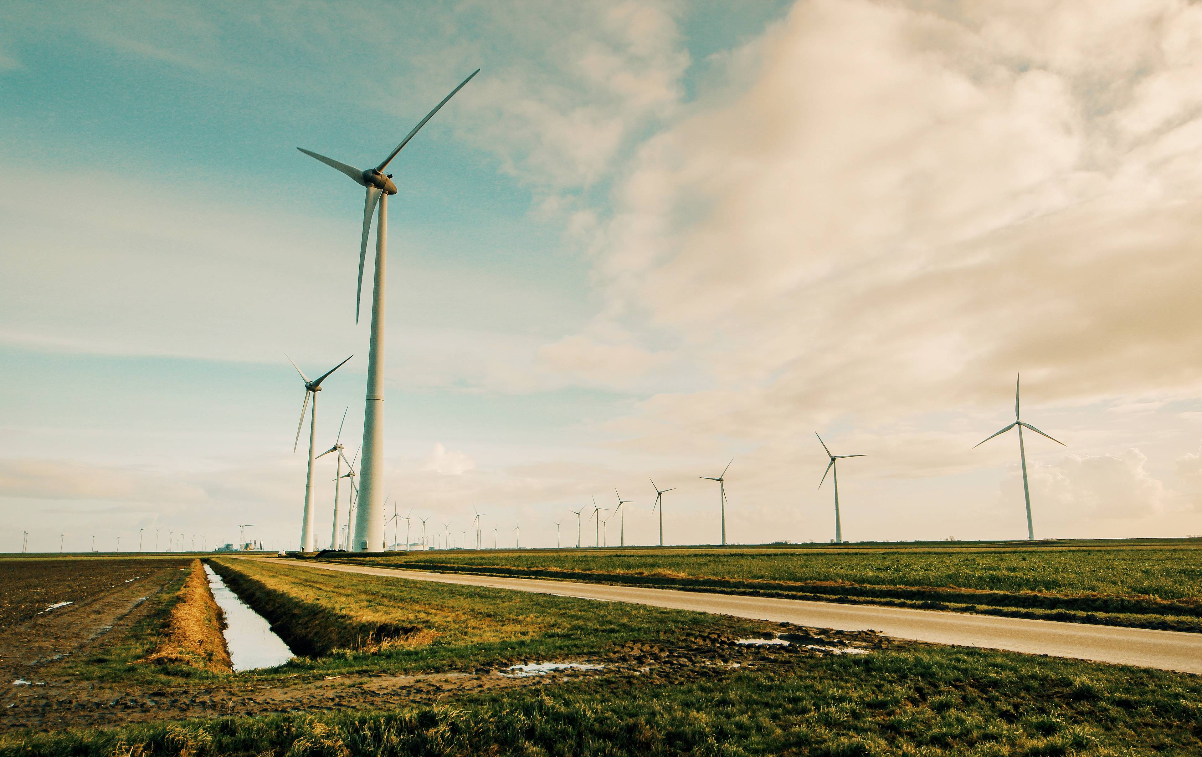 wind farms on the side of the road