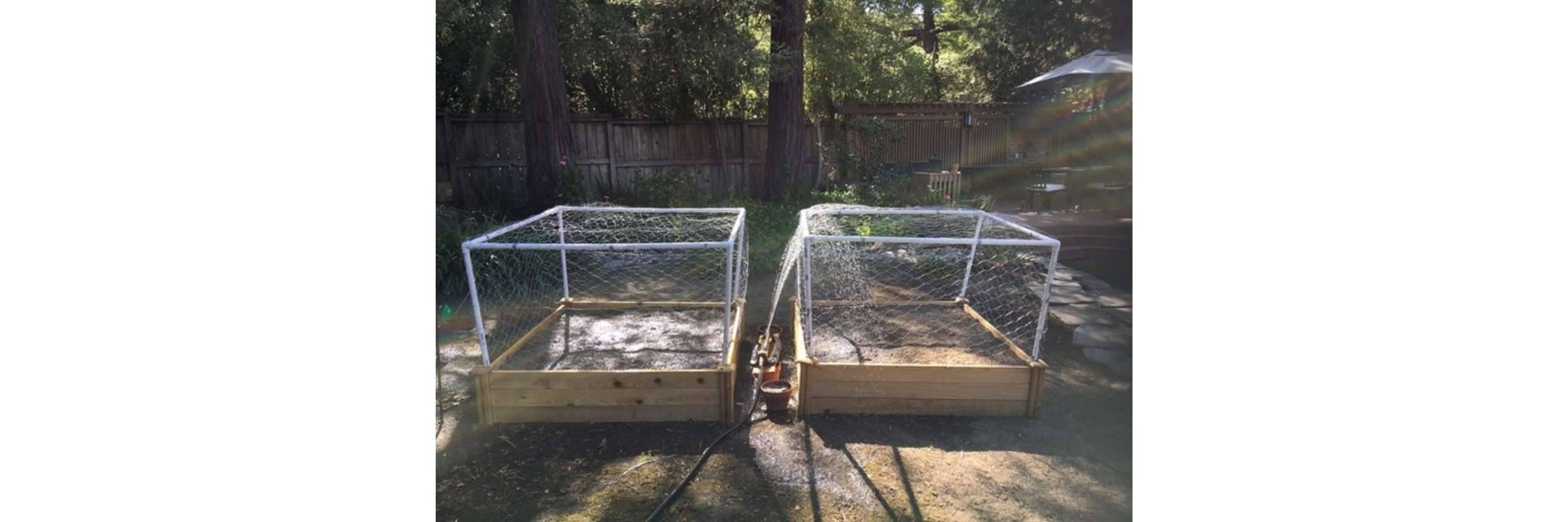 Netted planter boxes outside in sunlight near trees doing research experiment