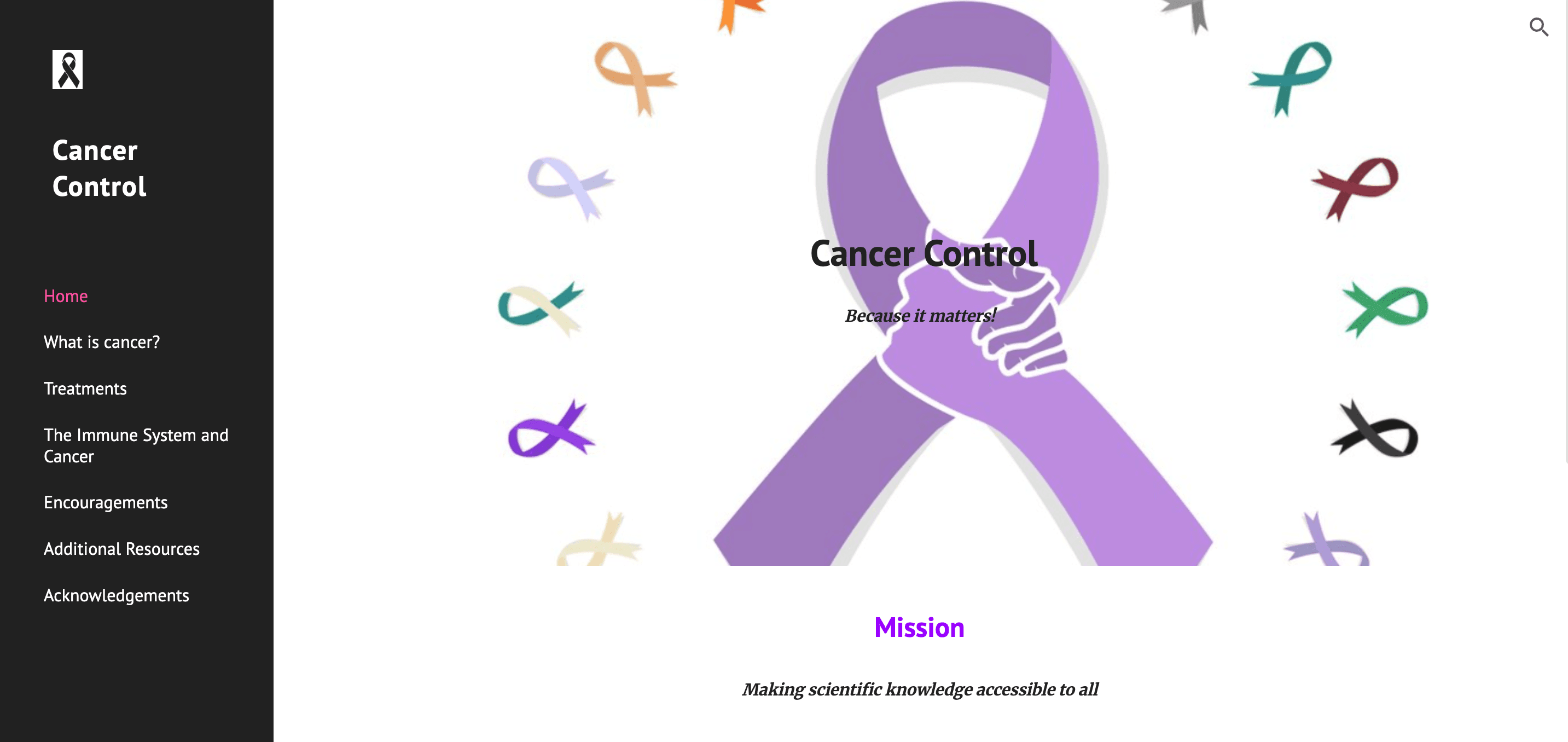 Screenshot of the educational website Mukudzei created to raise awareness about cervical cancer in her community.