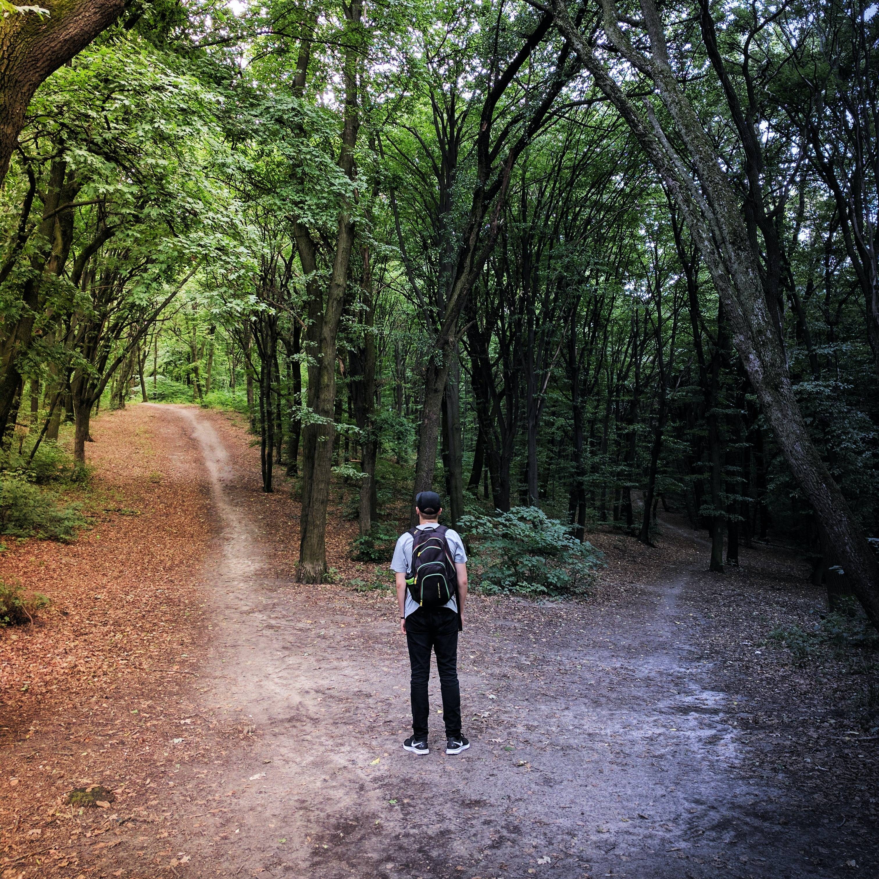 person with backpack arriving at a fork in the path