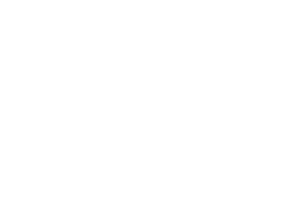 Summer Discovery logo white